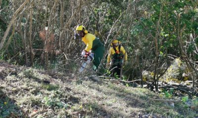 Baião investe 148 mil euros na limpeza de 143 hectares para redução do risco de incêndios rurais