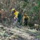 Baião investe 148 mil euros na limpeza de 143 hectares para redução do risco de incêndios rurais