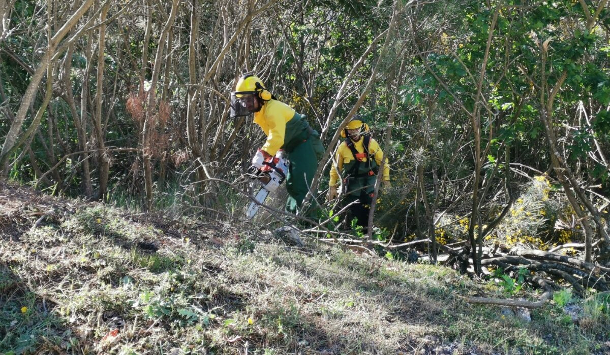 Baião investe 148 mil euros na limpeza de 143 hectares para redução do risco de incêndios rurais