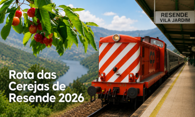 CP lança Rota das Cerejas de Resende: viagem de comboio com almoço, visitas e Festival da Cereja