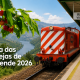 CP lança Rota das Cerejas de Resende: viagem de comboio com almoço, visitas e Festival da Cereja