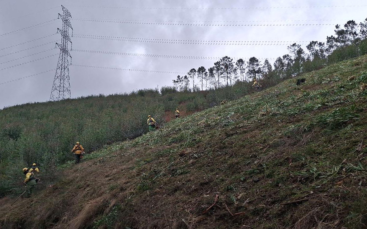Dia do Sapador Florestal: Amarante investiu 174 mil euros na limpeza de 116 hectares para prevenção de incêndios