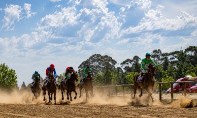Hipódromo de Carvalho voltou a encher para jornada nacional de trote e galope