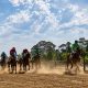 Hipódromo de Carvalho voltou a encher para jornada nacional de trote e galope