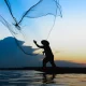 Hoje celebra-se o Dia Nacional do Pescador, uma data de reconhecimento de todos …