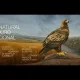 Hoje, dia 11 de maio, o Parque Natural do Douro Internacional celebra 28 anos de…