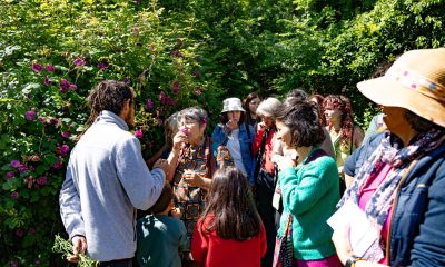 IV Festa das Plantas Aromáticas e Medicinais de Celorico de Basto termina hoje com passeios botânicos, workshops e mercado de sabores