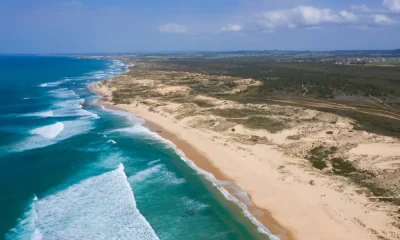 Informação | Parque Eólico das Cachenas não avança

O Município de Odemira infor…