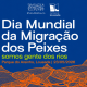 Lousada assinala Dia Mundial da Migração dos Peixes junto ao rio Sousa