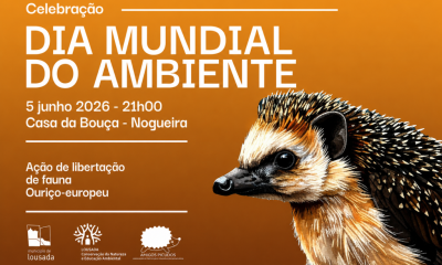 Lousada assinala Dia Mundial do Ambiente com libertação de ouriços-europeus
