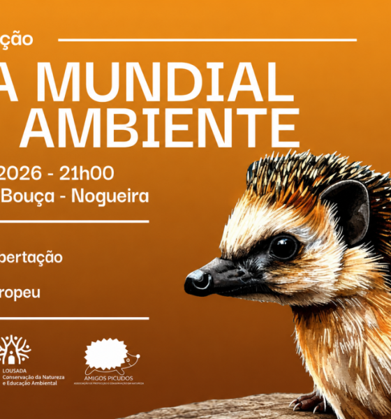 Lousada assinala Dia Mundial do Ambiente com libertação de ouriços-europeus