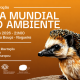 Lousada assinala Dia Mundial do Ambiente com libertação de ouriços-europeus