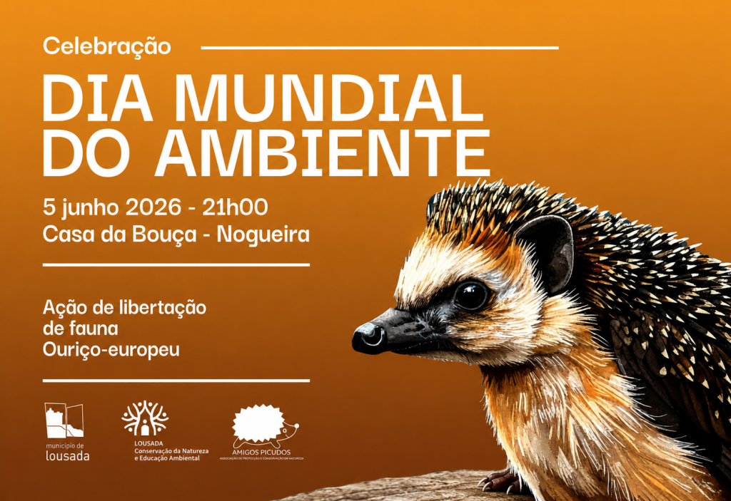 Lousada assinala Dia Mundial do Ambiente com libertação de ouriços-europeus