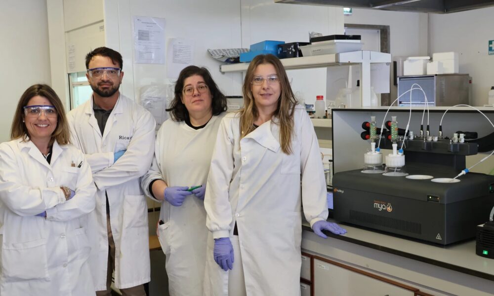 U.Porto reforça produção de soluções sustentáveis contra a bioincrustação marinha