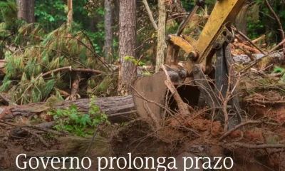 O prazo para a limpeza de terrenos e gestão de combustível foi prolongado até 30…
