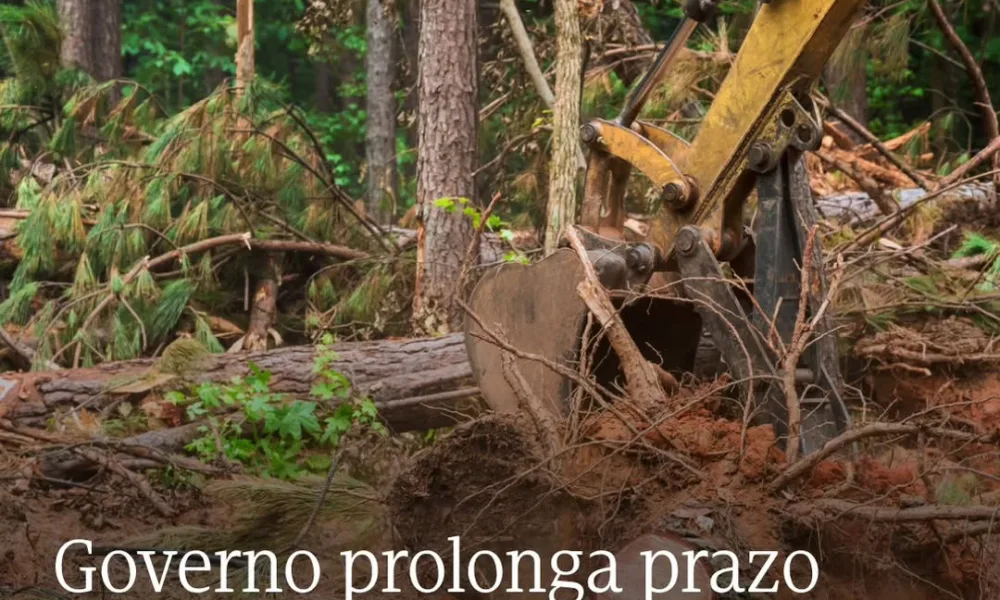 O prazo para a limpeza de terrenos e gestão de combustível foi prolongado até 30…