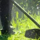 O prazo para a limpeza de terrenos e gestão de combustível foi prolongado até 30…