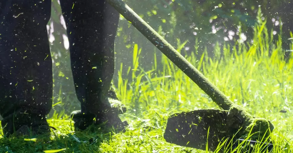 O prazo para a limpeza de terrenos e gestão de combustível foi prolongado até 30…