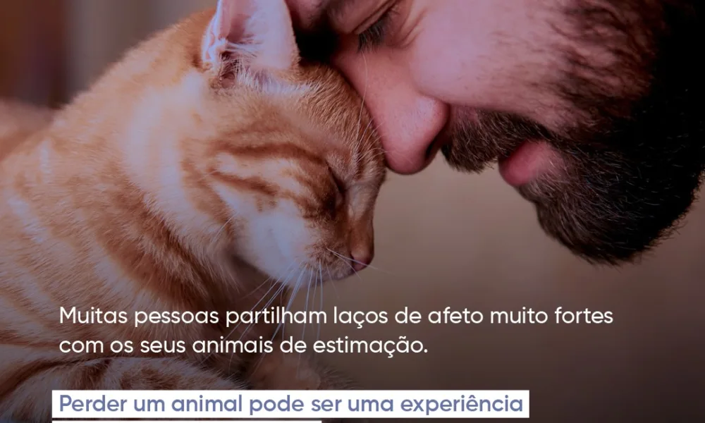 Os animais de estimação são parte da família e das rotinas diárias. A perda deve…
