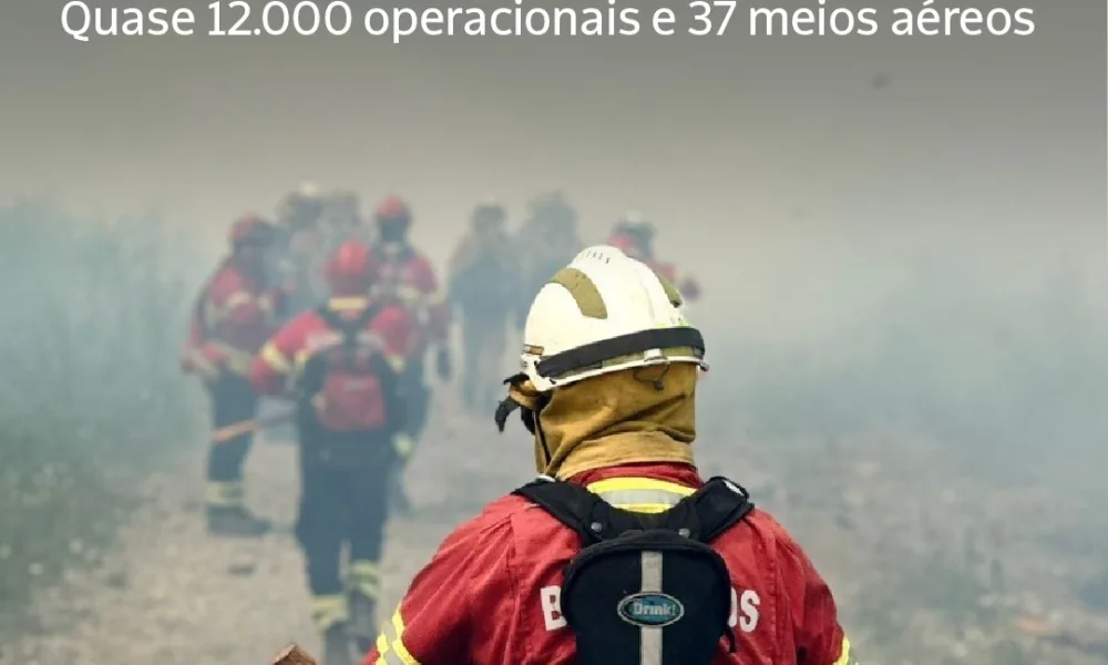 Os meios de combate a incêndios rurais já foram reforçados, estando agora no te…