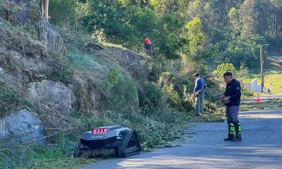 Paços de Ferreira conclui faixas de gestão de combustível em quatro freguesias e alarga trabalhos a Penamaior