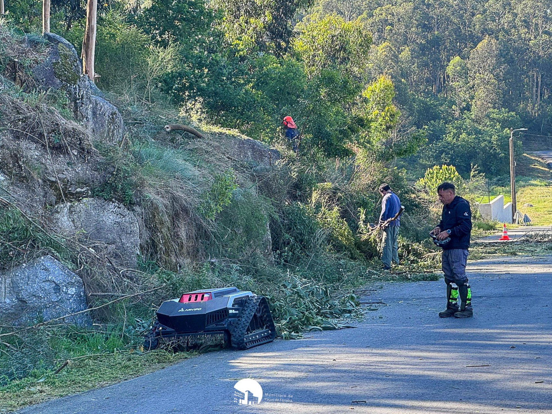 Paços de Ferreira conclui faixas de gestão de combustível em quatro freguesias e alarga trabalhos a Penamaior