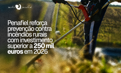 Penafiel reforça prevenção contra incêndios rurais com investimento superior a 250 mil euros em 2026
