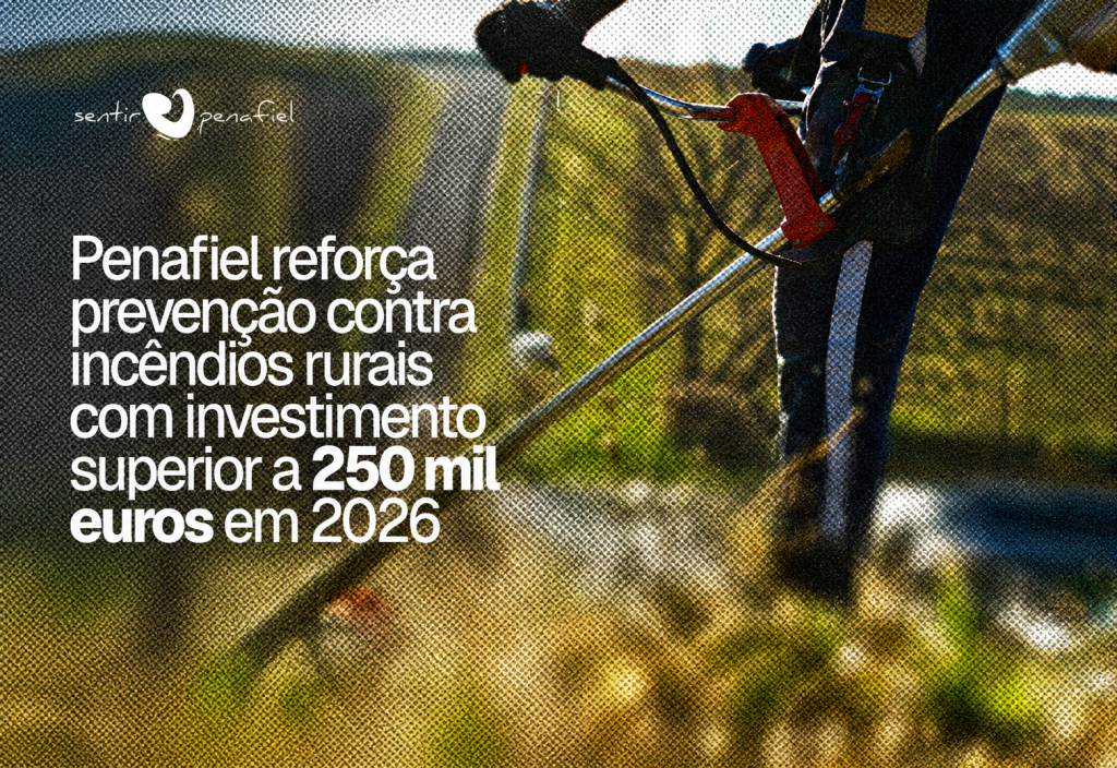 Penafiel reforça prevenção contra incêndios rurais com investimento superior a 250 mil euros em 2026
