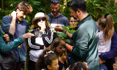 Plantas silvestres comestíveis despertaram curiosidade no Bosque das Quintãs