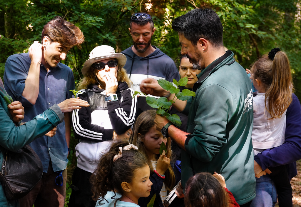 Plantas silvestres comestíveis despertaram curiosidade no Bosque das Quintãs
