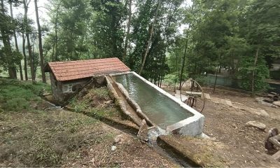 Projeto “Descobrir Paredes” percorre “Trilho dos Moinhos de Cubo” a 30 de maio entre Parada de Todeia e Sobreira
