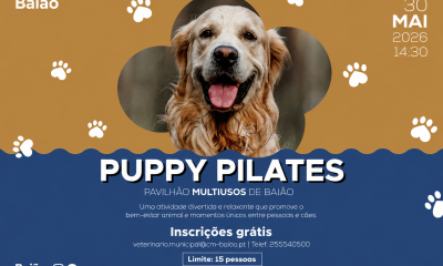 “Puppy Pilates” junta exercício e adopção responsável em Baião