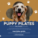 “Puppy Pilates” junta exercício e adopção responsável em Baião