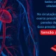 Sabe o que é a hipertensão? Conhecer a doença ajuda a estar alerta para os sinto…