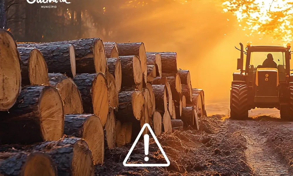 Sabia que…
Em dias de perigo de incêndio rural “muito elevado” ou “máximo”, é …