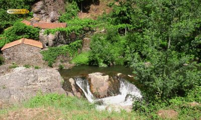 Parque das Serras do Porto investe 250 mil euros na compra de 25 hectares para conservação da natureza