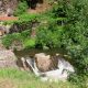 Parque das Serras do Porto investe 250 mil euros na compra de 25 hectares para conservação da natureza