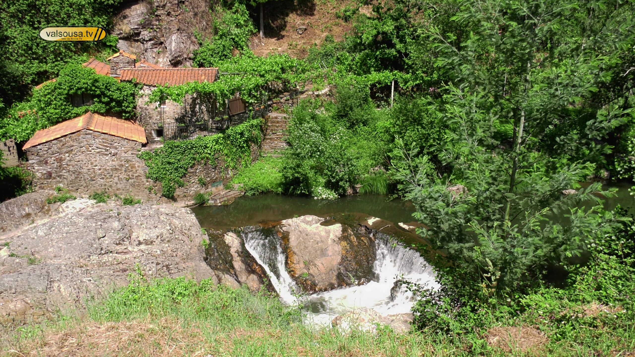 Parque das Serras do Porto investe 250 mil euros na compra de 25 hectares para conservação da natureza