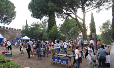 V FEIRA DE INSPIRAÇÃO RENASCENTISTA DE VILA VIÇOSA | 5 A 7 JUNHO 2026 

De 5 a 7…