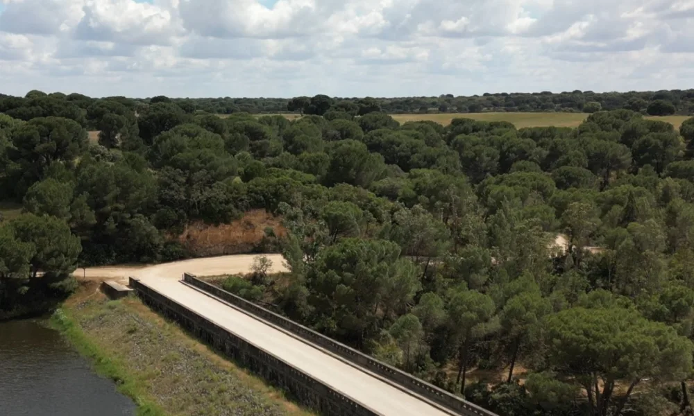 Via alternativa à ponte de S. Romão completamente arranjada

As intervenções ef…