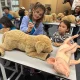 ICBAS leva mais um ano de “One Health” às Escolas