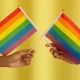 Lisboa e Porto hasteiam bandeira LGBTQIA+ este domingo apesar de proibição legal