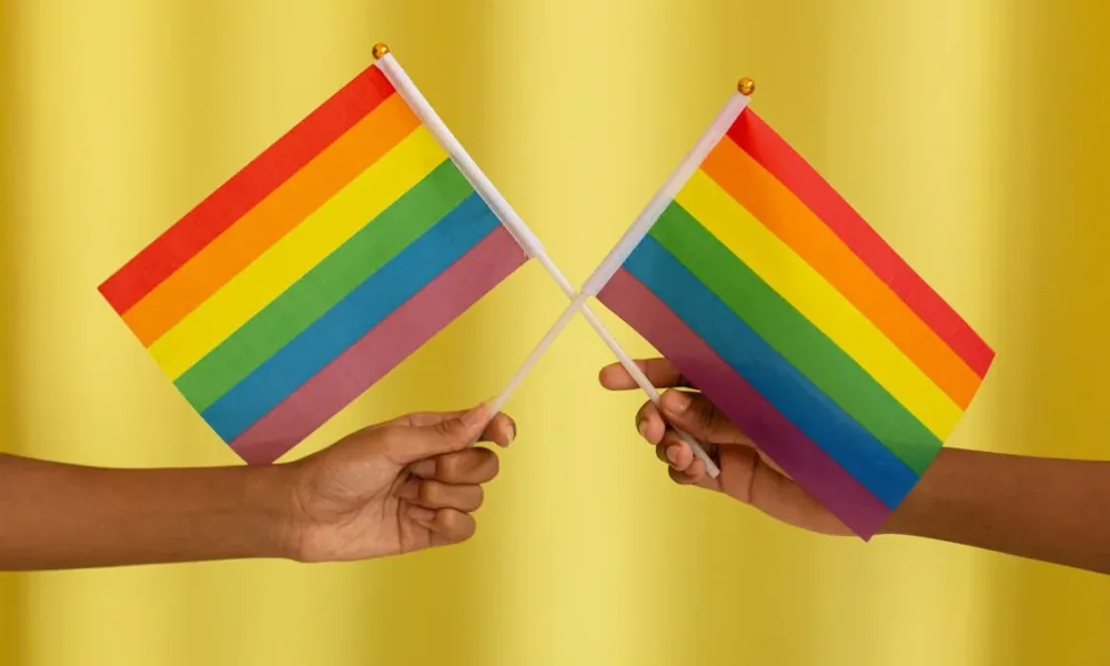 Lisboa e Porto hasteiam bandeira LGBTQIA+ este domingo apesar de proibição legal