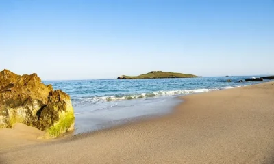 Sines conquista quatro prémios de “Qualidade de Ouro” das suas praias
