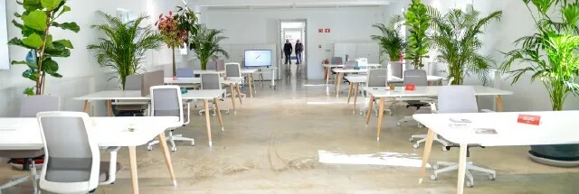 Moagem de Sabóia celebra aniversário com evento gratuito para acelerar negócios
