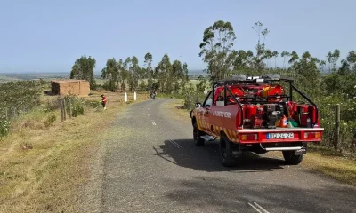 Solidariedade em Alcácer: Associação recolhe bens nos supermercados para apoiar bombeiros na época de incêndios