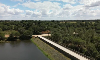 Alcácer do Sal: Via alternativa à ponte de S. Romão já está concluída e com trânsito condicionado