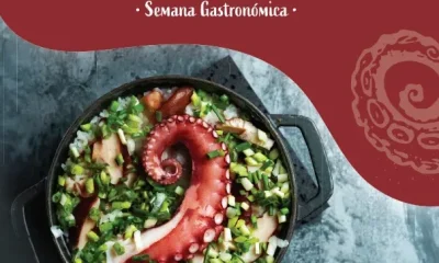 Semana Gastronómica do Polvo regressa ao concelho de Odemira
