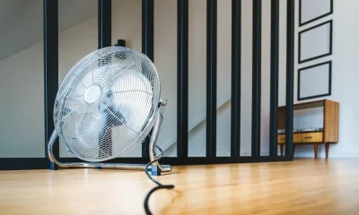Alerta nacional: Quase todo o país em onda de calor com termómetros a roçar os 39°C e perigo de incêndio