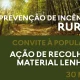 Santarém: Proteção Civil limpa matas municipais e abre recolha de lenha à população